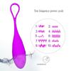 Wireless Remote Control Vagina Balls Silicone Bullet Egg Vibrators USB Rechargeable Massage Ball Adult Sex Toys
