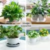 Plastic Flower Pot Sturdy Drip Trays High Quality Flower Tray  Indoor And Out Door Plant