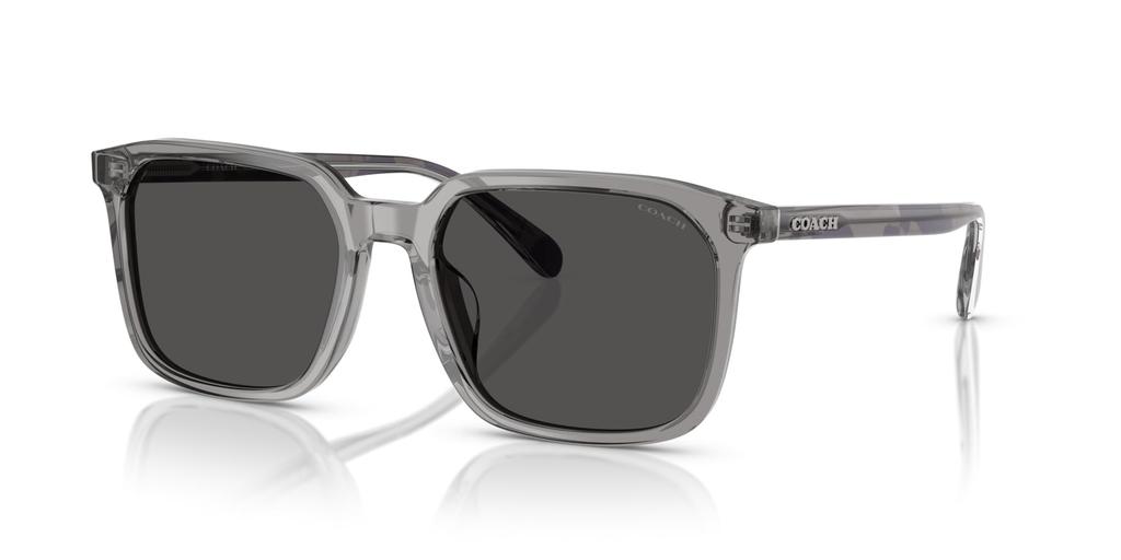 Sunglasses 0HC8411U TRANSPARENT GRAY 55 [Coach]