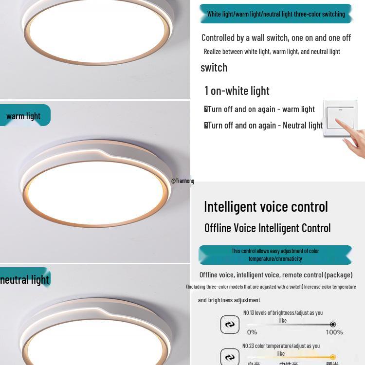 Full Spectrum Eye-Protecting Ceiling Light for Bedroom & Living Room