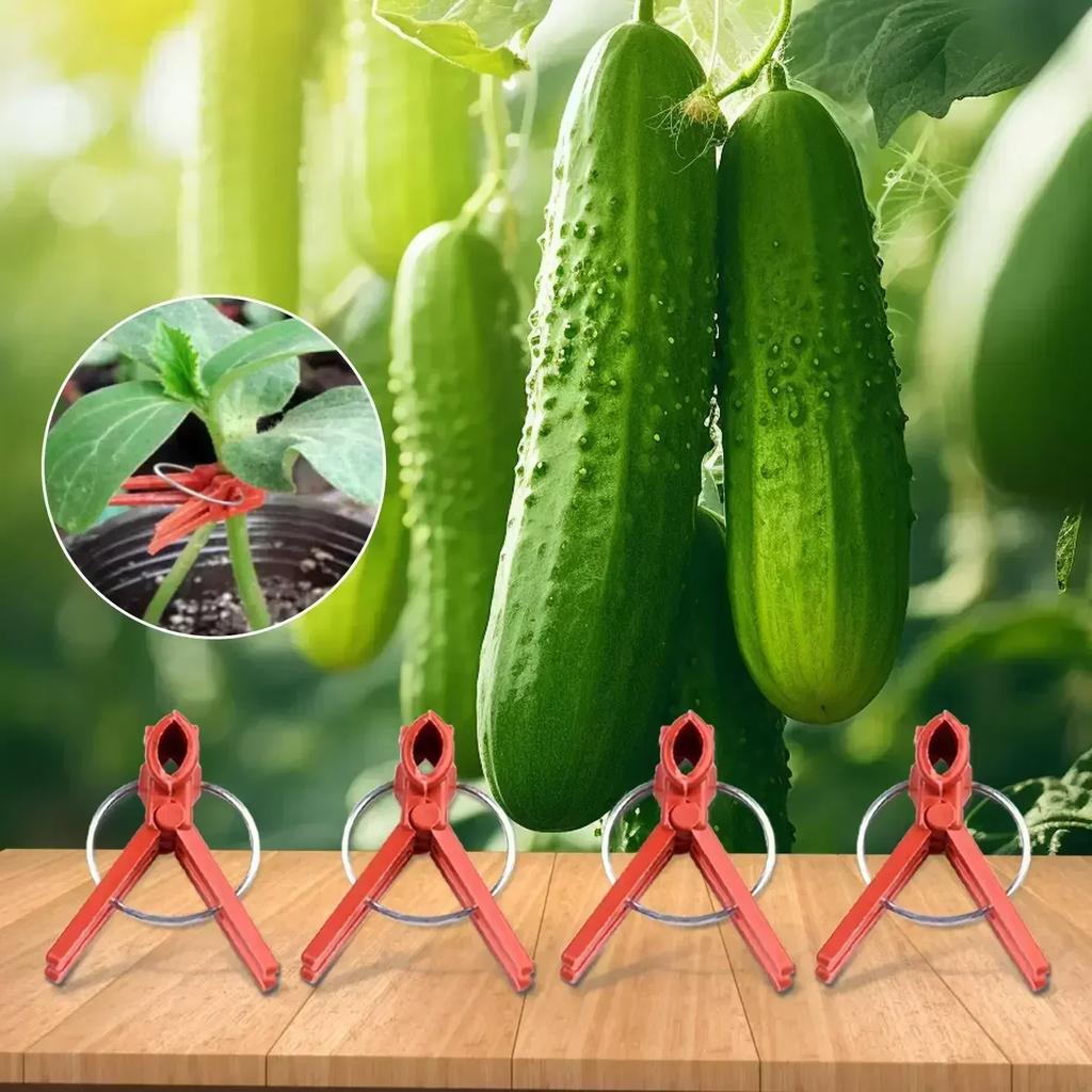 Garden Tool Graft Clip Graft Clamp For Watermelon For Eggplant For Novice Enthusiast 50Pcs Ample Quantity Plastic