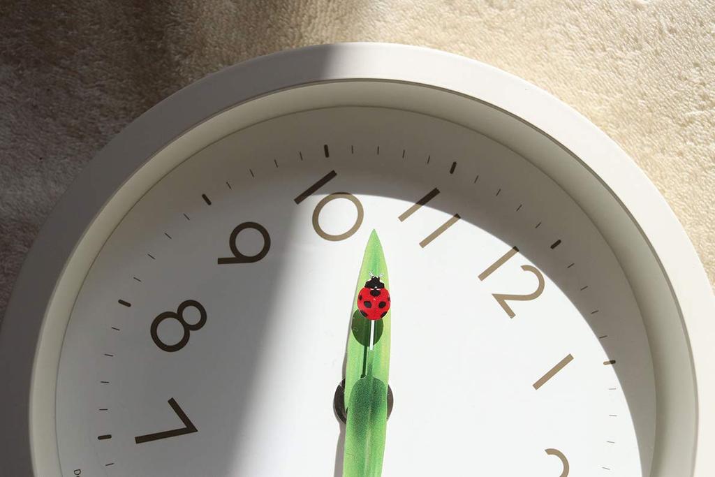 Lemnos Analog Wall Perch Clock Ladybird TENTO Lemnos Clock, Mini, Design, SUR20-06