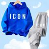 Spring Autumn New Fashion Kids Tracksuits 3-12 Years Boys and Girls Casual Sports Hoodie Tops+Pants 2PC Sets Children's Clothing