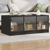 VidaXL Coffee Table with Glass Doors, End Table with Storage, Side Table, Living Room Furniture 836414