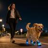 Light Up Dog Shoes Breathable Pet Supplies Doggy Shoes Cat Glowing Boots For Puppy Kitten Summer Outdoor Night Walks Training