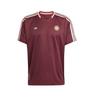 adidas Fc Bayern Munich Icons Terrace T Shirt JF0595