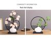Mini White Matte Ceramic Vase for Dried Flowers - Nordic Hydroponic Home Decoration