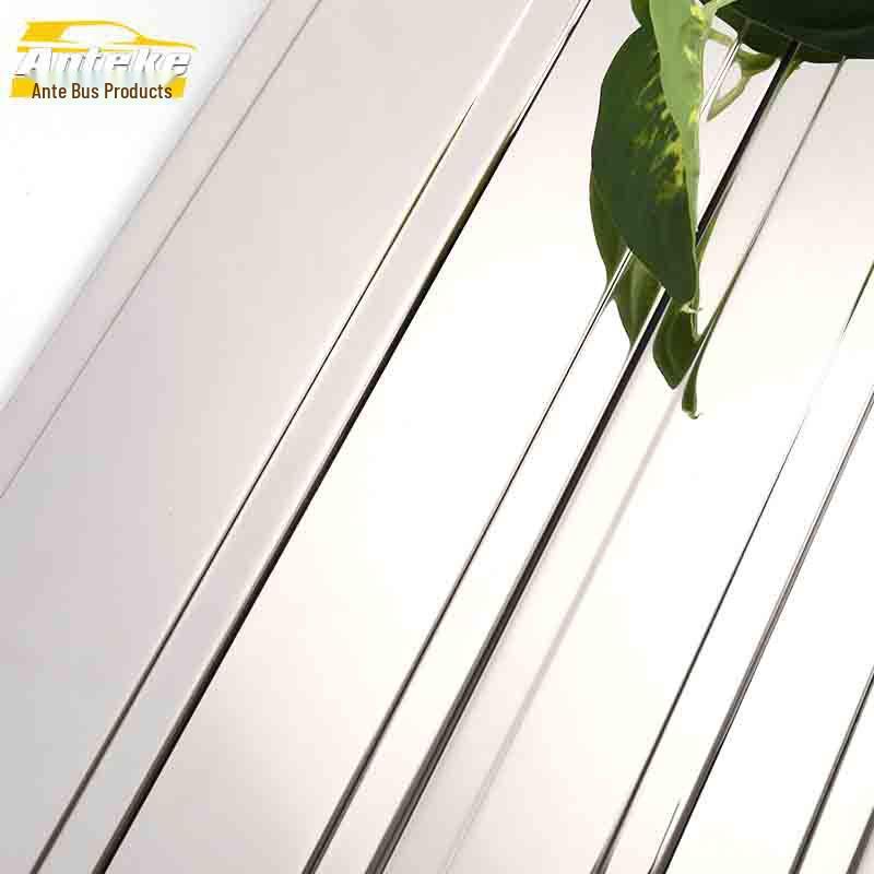 Anti-Scratch Edge & Trim Strip for BAIC Weiwang M20