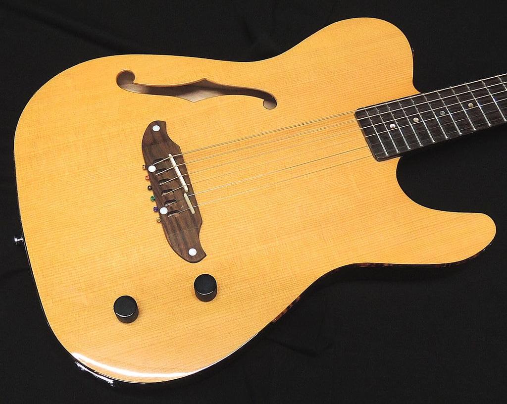 SCHECTER VNTL Gloss Finish Schecter Thin Body Acoustic Guitar F Hole Electric Acoustic Telecaster Shape Natural Passive OL-FL-P
