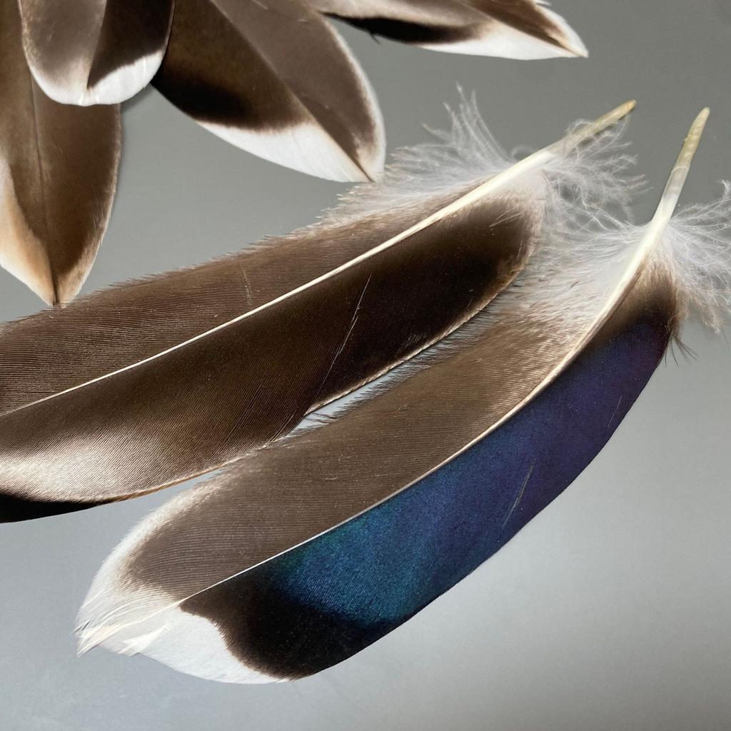 10-15Cm Duck Feathers Handmade Natural Pheasant Feathers Handmade Diy Accessories Wedding Party Jewelry