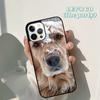 Autumu Golden Retriever Dog Cute Puppy Phone Case Cover for iPhone 17 Air 16 16e 15 12 11 13 14 Pro Max Plus Coque
