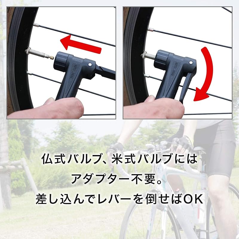 Panaracer Bicycle Air Pump with Long Hose, Pressure Gauge, Compatible with All Valves, Black Resin, BFP-PGAB2-LH