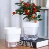 Doppelschichtiger Wasserspeicher Fauler Blumentopf Kreativer Transparenter Blumentopf Automatische Bewässerung Sukkulentenpflanztopf Desktop-Dekor
