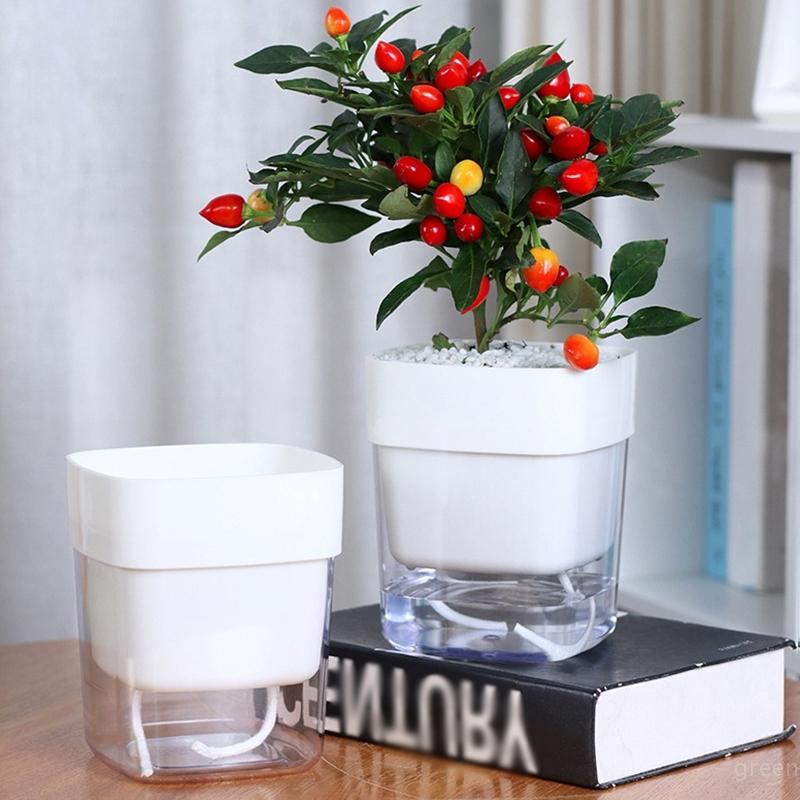 Doppelschichtiger Wasserspeicher Fauler Blumentopf Kreativer Transparenter Blumentopf Automatische Bewässerung Sukkulentenpflanztopf Desktop-Dekor