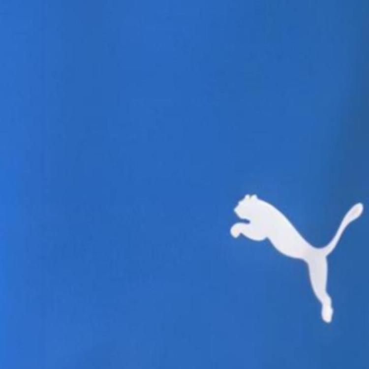 Puma Teamrise Solid Waistband Straight Leg Casual Shorts Men Shorts Blue 704942-02