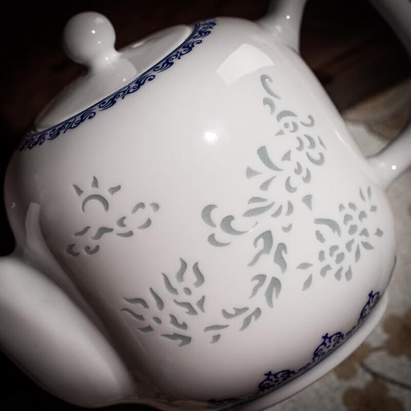 Jingdezhen Blue & White Linglong Ceramic Tea Set - Danfeng Chaoyang 10-Piece