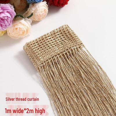 Tenda a Filo d'Argento 1x2m - Divisorio Decorativo con Nappe per Soggiorno