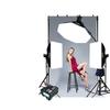 Godox 400W Studio Flash Kit