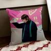 Singer PPorter RRobinson Cushion Cover Reversible Soft Durable Pillow Cover Home  Car MultiScene Use for Daily Comfort