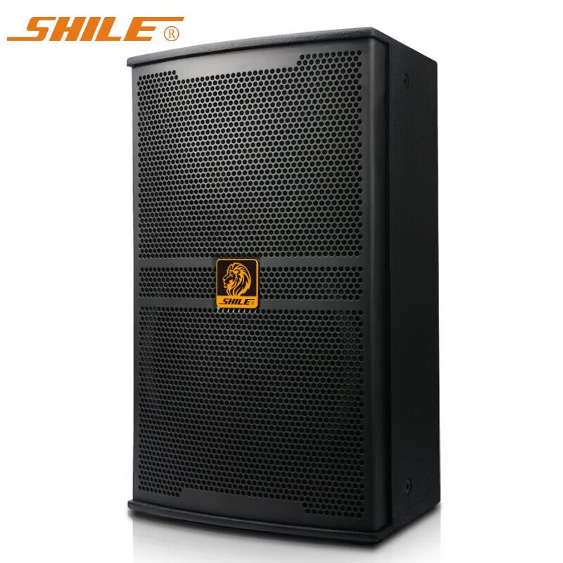 SHILE 10-inch Professional Stage Speaker