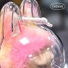 A Transparent Case Exclusively for Labubu To Protect the Cute Doll Keychain.