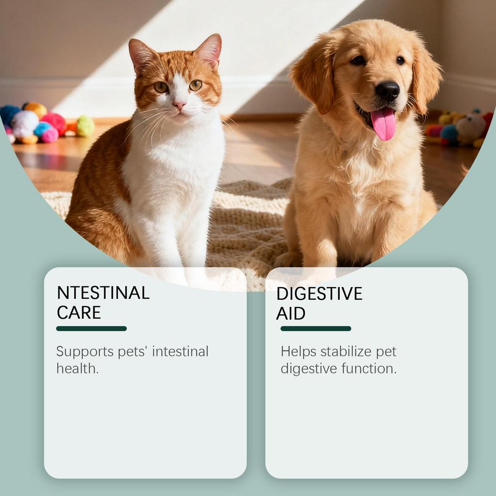 Kriath Probiotic Drops for Cats and Dogs 60ml: Gentle Care for Cat and Dog Gut Health. Pet Intestinal Health Care Drops.