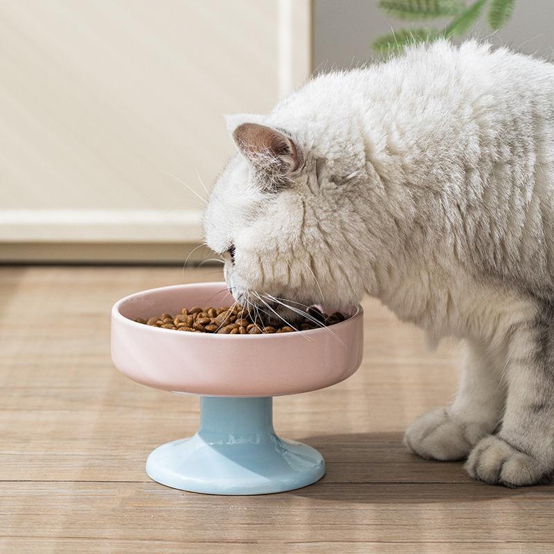 Ceramic Color-Blocked Pet Bowl Elevated Cat Bowl Protects Cervical Vertebrae Pet Supplies