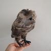 Artificial Owl Bird Taxidermy 12cm-27cm PICK