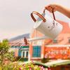 Outdoor Plant Sprayer, Cute Pattern, Metal, Plant Sprayer, Galvanized Steel, Gardening Sprayer, Garden Kettle, Leak Proof
