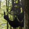 Peeking Animal Metal Sign Flipping Off Cat Crocodile Silhouette Decoration