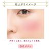 Blend Berry Face Gloss 003 Cheek and Face Color by KOSE (Pomegranate)