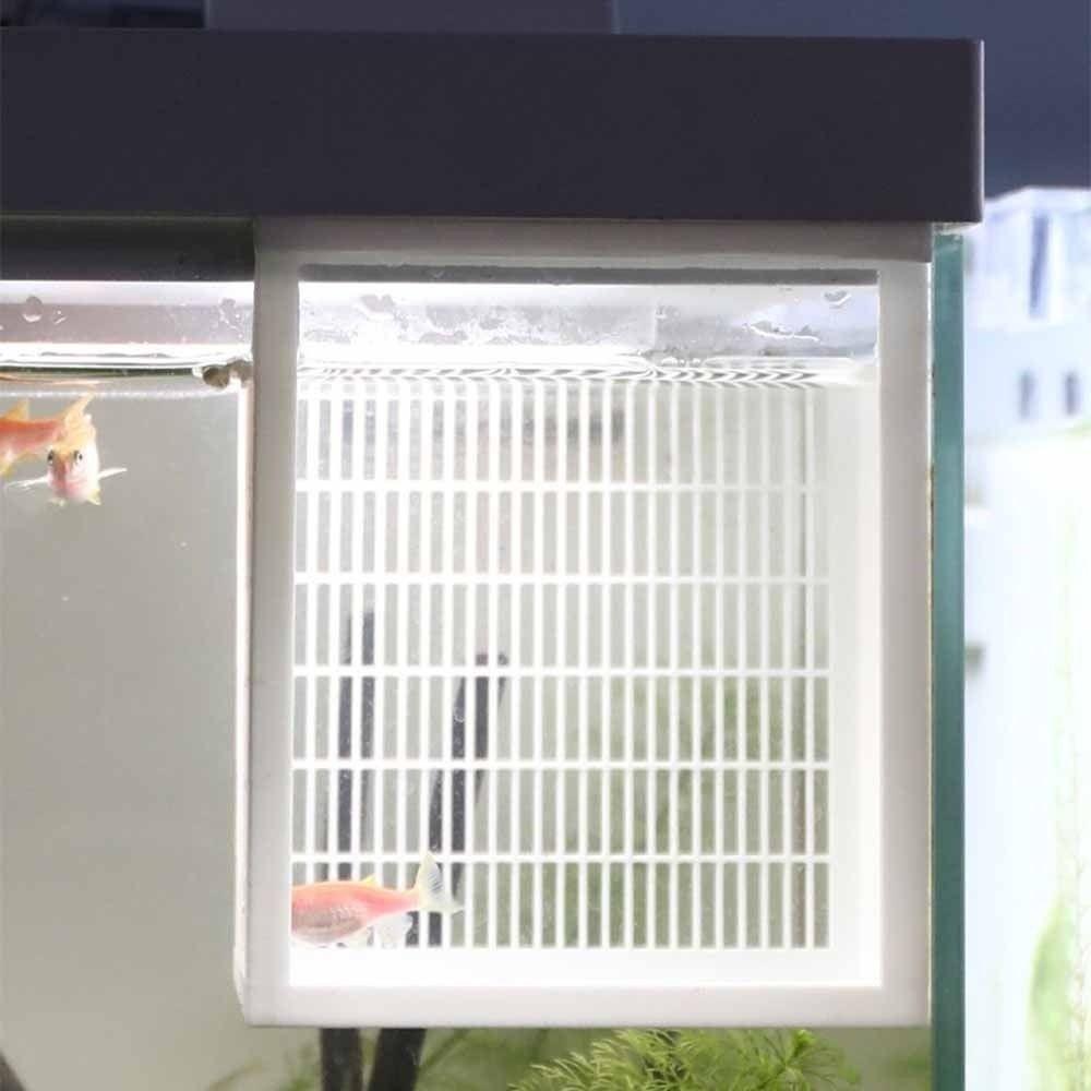 Breeding Use Fish Breeding Box Solid Partition Guppy Incubator Fry Rearing Container Fry Rearing