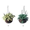 Miniature Hanging Potted Plant Model for 1/12 Doll House Decoration Office Desk Scene Setting Living Room Landscape Props