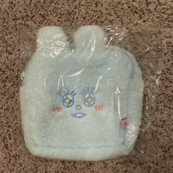 

Astro Eunwoo Snow Pouch