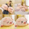 Pig Plush With Soft Short Plush For Girls And Boys