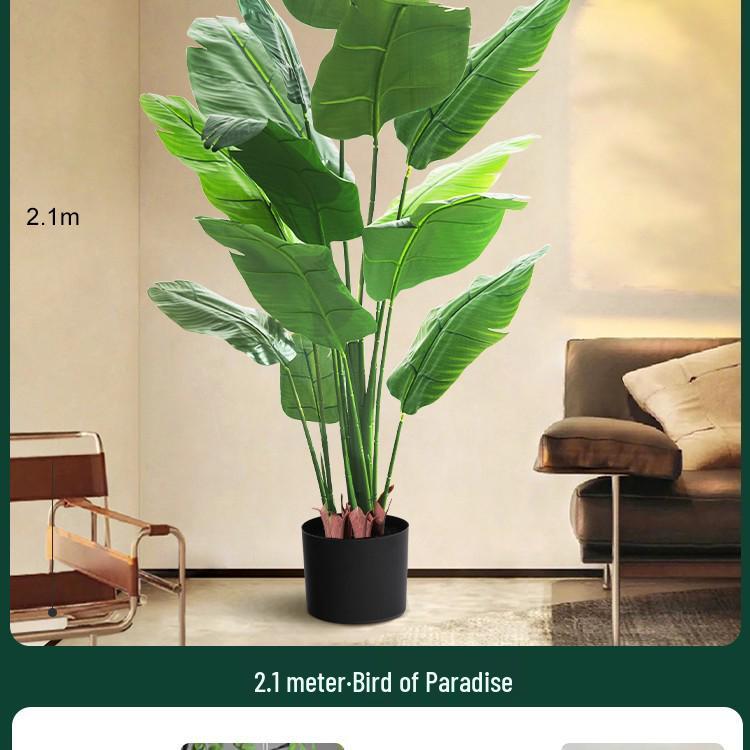High-End Indoor Bird of Paradise Decor: Luxury Potted Traveler's Palm