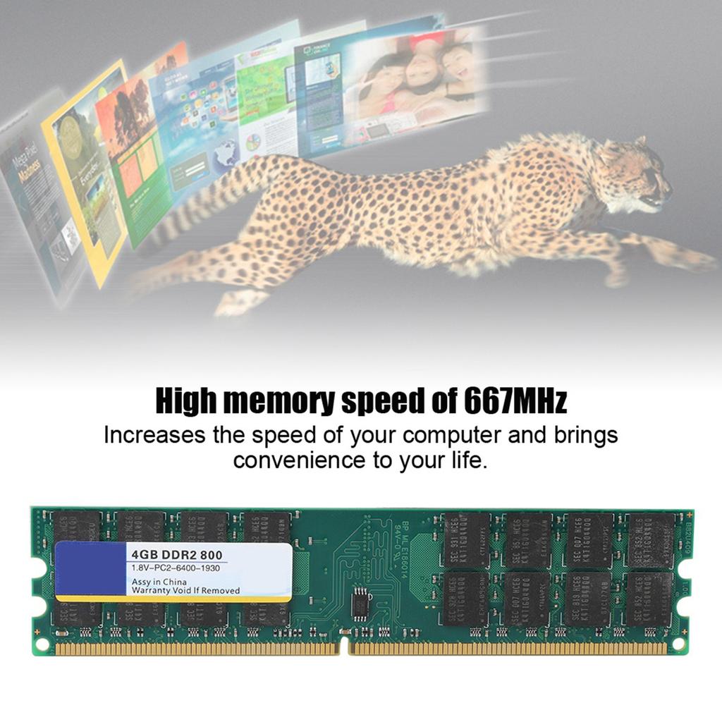 Xiede 800MHZ 4G 240pin RAM Memory Designed for DDR2 PC2 6400 Desktop Computer for AMD 1.8V