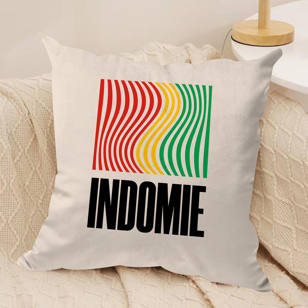 

Food Anime IIndomieS Cushion Cover Soft Plush Fabric DoubleSided Printed Sofa Cushion Cover for All Seasons Home Decor Gift 40x40cm16x16in
