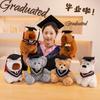 Adorable Graduate Capybara Plush Toy with Cap