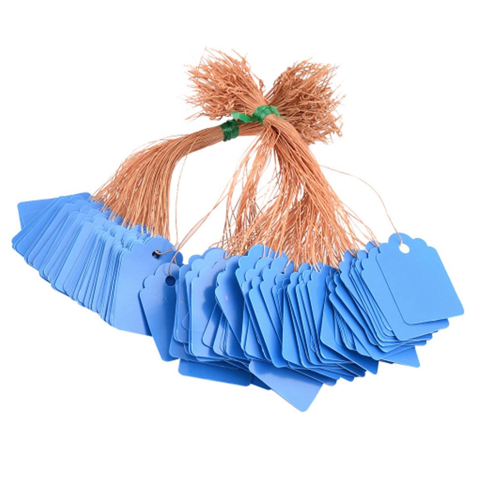 Stylish Plastic Hanging Tags for Gardening Plant Pack of 100 Waterproof Labels