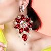 Fashion Accessories, High-End Luxury Earrings, Personalized Trend Earrings Accessories Earrings