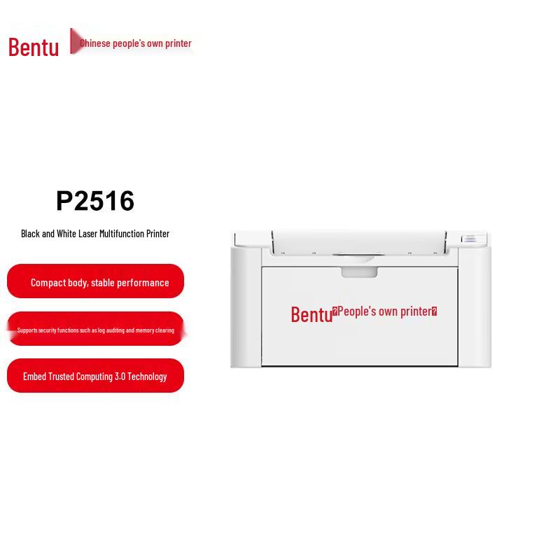 Pantum P2516 A4 Duplex Black & White Laser Printer CN plug (adapter included)