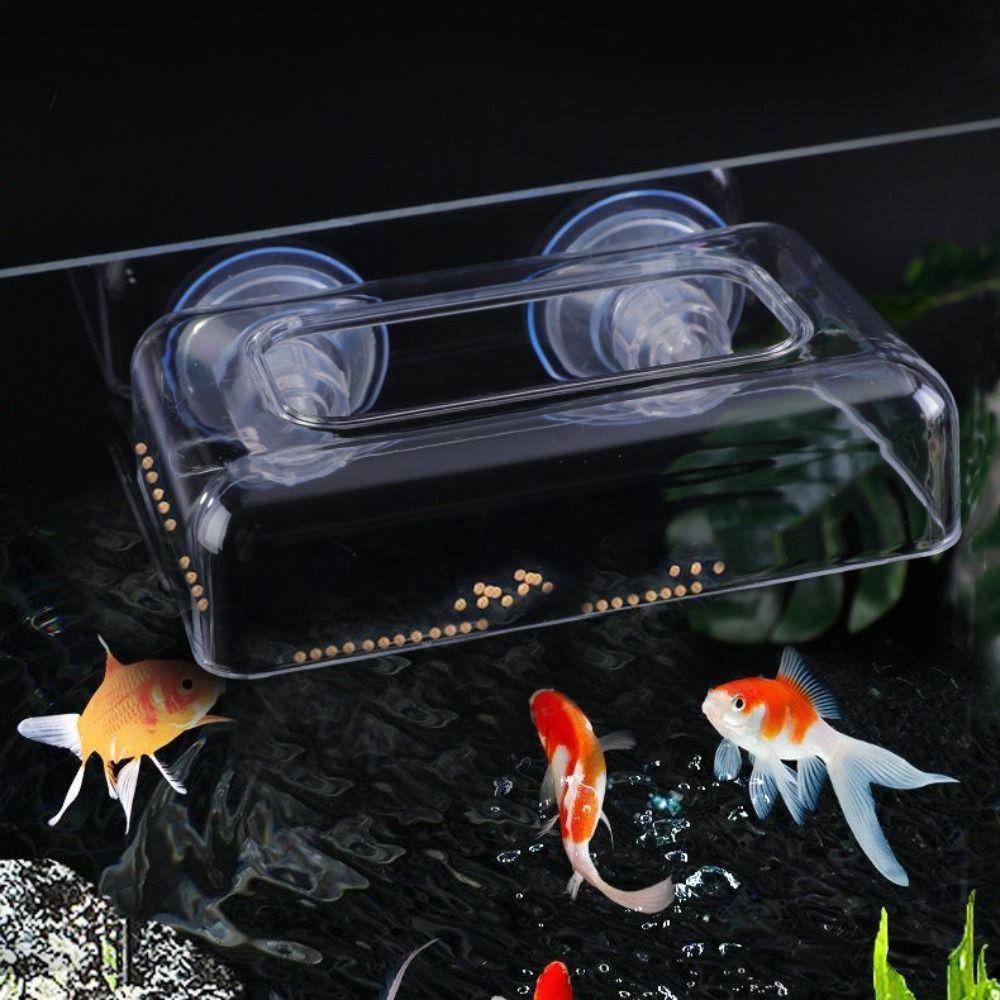 New Acrylic Aquarium Fish Feeders Ring Fixed Durable Floating Food Tray Feeder Suction Cup Fish Feeder Tray for Baby Fish Shrimp