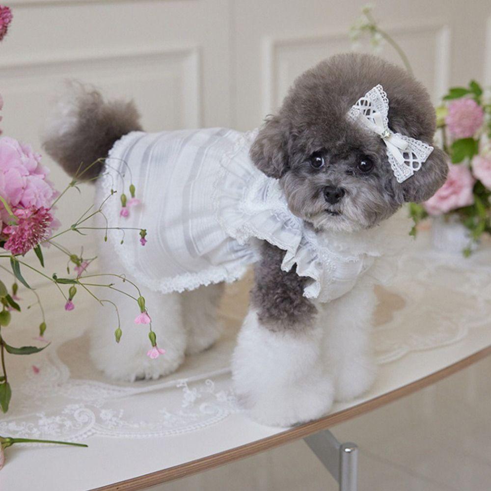 Soft Pet Princess Dress Lace Dog Vest Pet Supplies Pet Summer Clothes  Summer