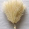 24PCS Brown Faux Pampas Grass White, 56cm Short Artificial Pompous Grass Floral Fake Pompas Grass Branches Vase Filler