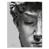 Retro Renaissance David Massivskulptur Leinwandgemälde Halbes Gesicht Porträt Druck Poster Kunstbilder für Zimmerwanddekoration