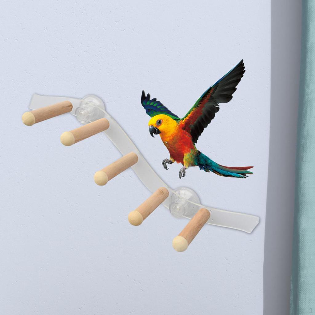 Przyssawka Drewniana Żerdź Zabawka Ptak Okno i Prysznic Zabawki dla