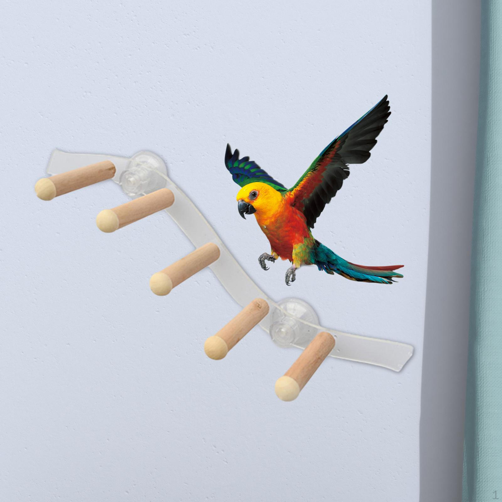 

Деревянный окунь на присоске, игрушка для птиц, окон и игрушек для душа style B