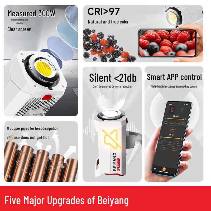 Beiyang FF300XS 300W Live Broadcast and Photography Fill Light