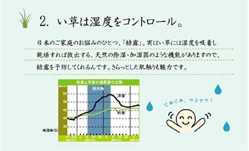 IKEHIKO Igusa Flower Tatami Mat, Kyoto Sashiko, Honma 2 Tatami Size, Approx. 191 x 191 cm, Brown, Made in Japan #4110212